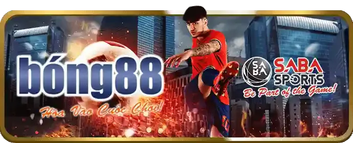 Chuyển khoản ngân hàng địa phương
